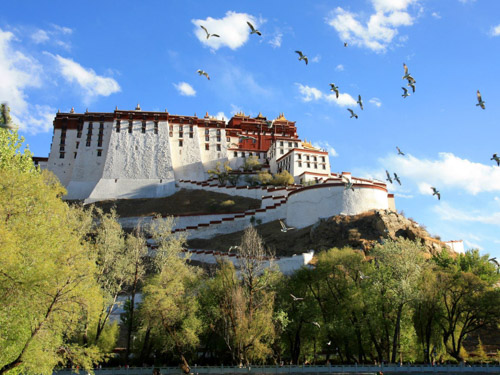 New Tibet Travel Insights: A Preview of Potala Palace